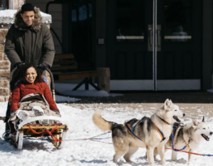 This counts as sledding, a bit with a dog, and a *dash* of workplace harassment.
-Snowbound for Christmas, 2019 